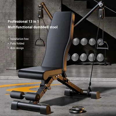 덤벨 피트니스 의자, 벤치 프레스, 윗몸 일으키기 보조 장비, 바벨, 새 의자, 접이식 다기능 의자
